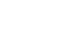 whirt logo car